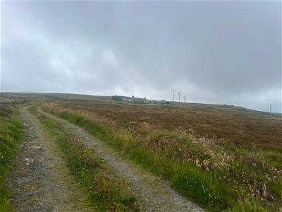 Picture 36